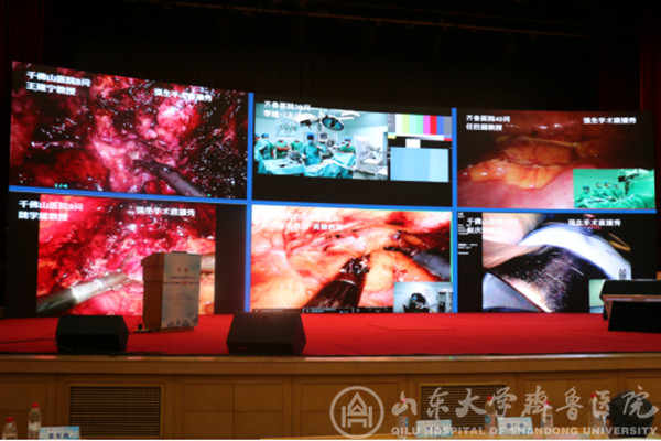 山东大学齐鲁医院承办山东省第六次泌尿微创学术会议