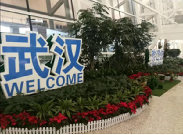 【两地书】(二十六)风雨中绽放最铿锵的玫瑰